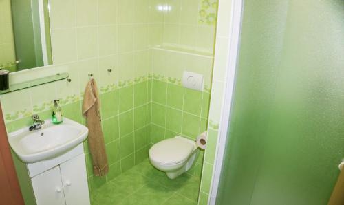baño verde con aseo y lavamanos en Penzion U Ďáblova kopyta, en Rakvice
