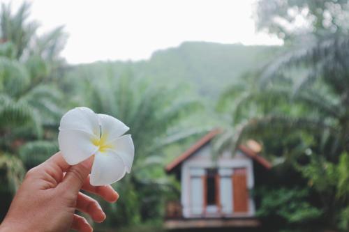 a hand holding a white flower in front of a house at BaanRaiChayKhaoFarmStay in Nakhon Si Thammarat