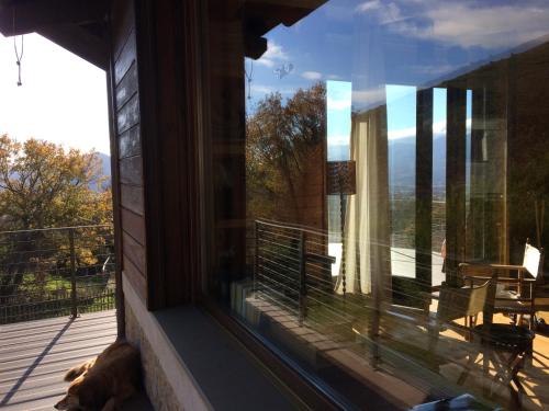 a dog laying on a porch looking out a window at Azienda Agricola Il Querceto in Marsico Vetere