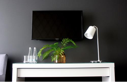 TV a/nebo společenská místnost v ubytování Arboretum Hotel