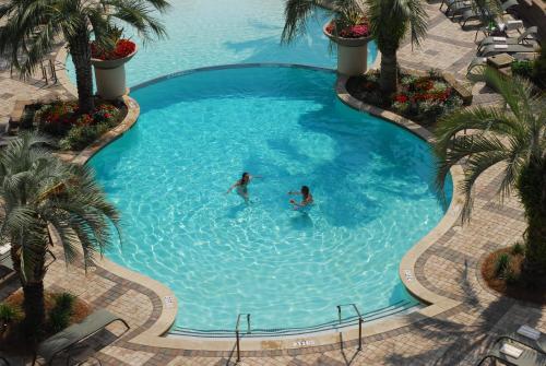 two people swimming in a large pool with palm trees at Marina Inn at Grande Dunes in Myrtle Beach
