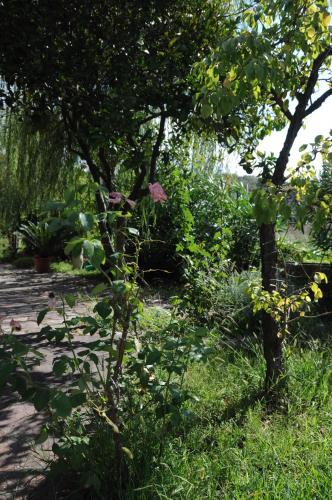 Gallery image of Casa Vacanze Marcella in Palinuro