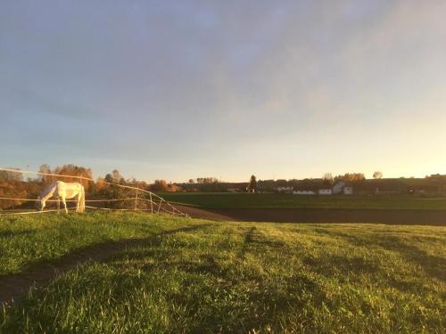 Gambar di galeri bagi Ferienhof Löw di Salzweg
