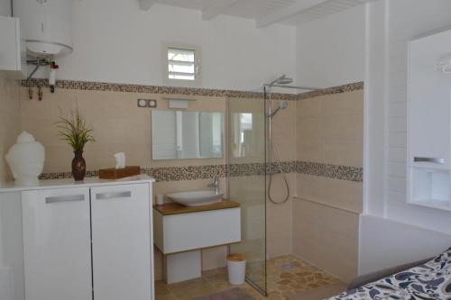 un bagno con doccia e lavandino di "Pépite" a Petit-Bourg