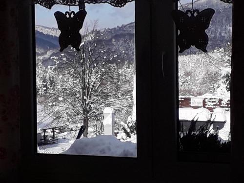 a window with a view of a tree in the snow at Domki i Apartamenty Rogate Anioły in Wetlina