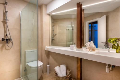 a bathroom with a sink and a toilet and a mirror at Placentines 5 in Seville