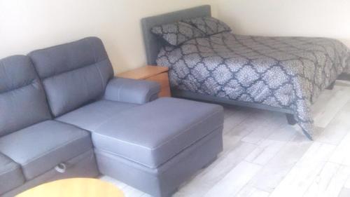 ein Schlafzimmer mit einem Sofa und einem Bett sowie einem Sofa und einem Stuhl in der Unterkunft Bernache in Mont-Tremblant