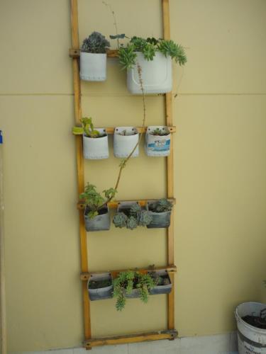 a shelf with potted plants on a wall at Selvática Alojamiento Eco in Medellín
