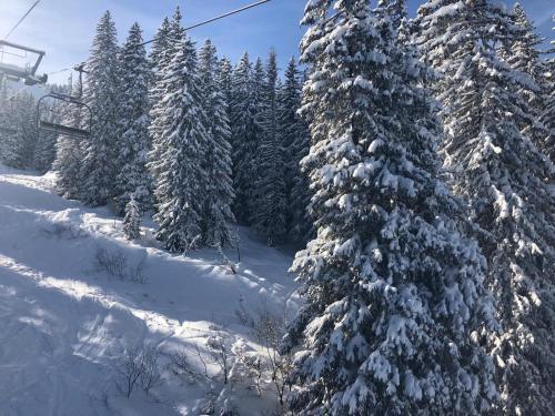Photo de la galerie de l'établissement La Providence, à Morgins