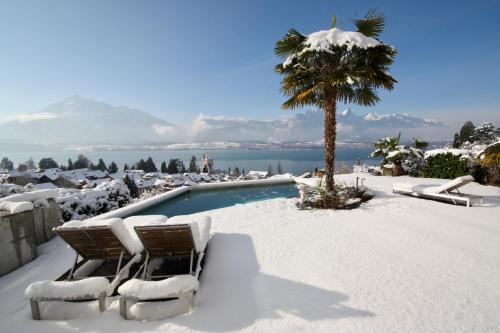 a swimming pool covered in snow with two chairs and a palm tree at Otium-Oberhofen in Oberhofen am Thunersee
