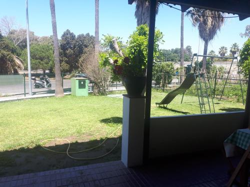 una planta en un jarrón sentado en un patio en La redonda, en San Roque