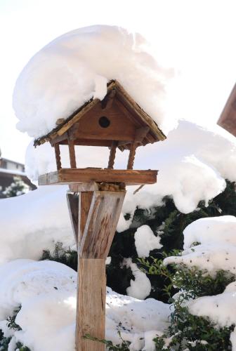 a bird house with snow on top of it at Sportpension Christina by PiaundDirk in Fügen