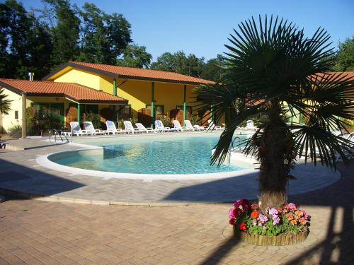 una palma in un vaso di fiori accanto alla piscina di Hotel Ristorante La Perla a Varallo Pombia