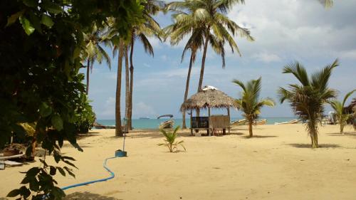 a hut on a beach with palm trees and the ocean at Dolphin Village in Kalpitiya