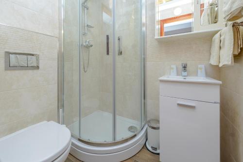 a bathroom with a shower and a toilet and a sink at Studio Stradun in Dubrovnik
