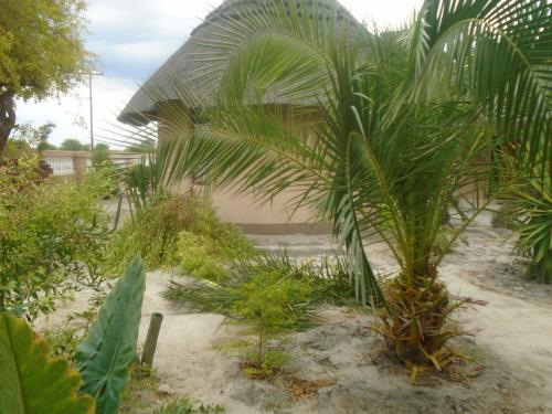 Gallery image of Bel Rea Guest Lodge in Nata