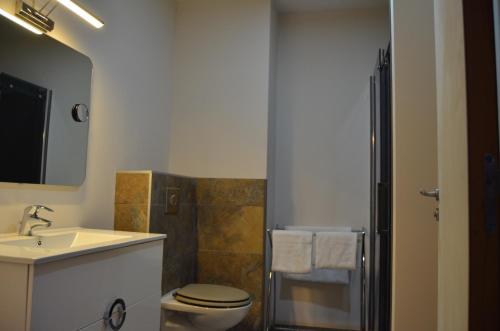 uma casa de banho com um WC, um lavatório e um chuveiro em L'Hôtel du Lac Casteljaloux em Casteljaloux