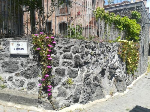 Gli Iris – Photos 2