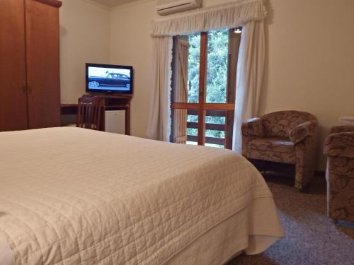 a bedroom with a bed and a television and a chair at Hotel Azaleia in Gramado