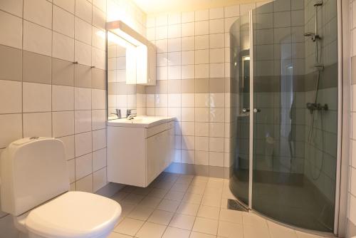 a bathroom with a toilet and a shower and a sink at Fjelltun 8-sengs in Trysil