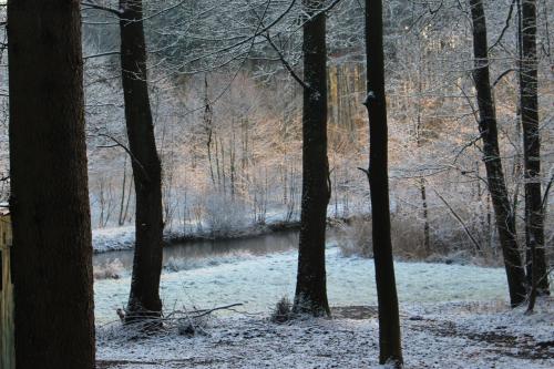 a snow covered forest with a river and trees at Ferien im Bomlitztal in Bomlitz