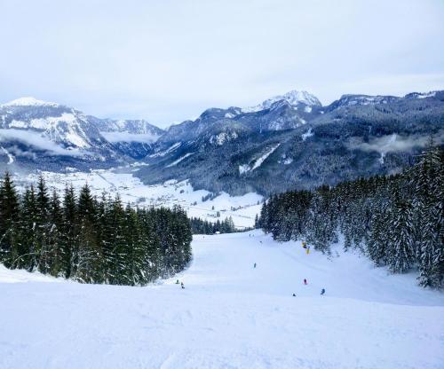 a group of people skiing down a snow covered mountain at Pension Edelweiss Top 25 in Gosau