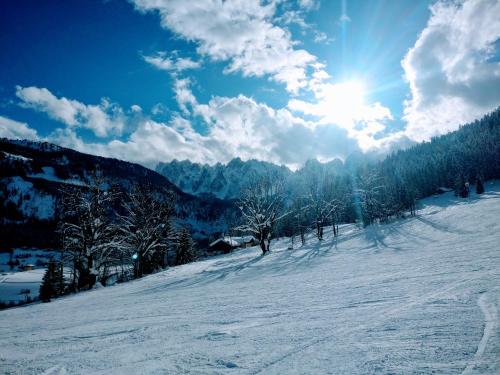 a snow covered slope with trees and the sun at Pension Edelweiss Top 25 in Gosau