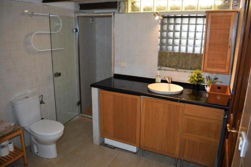ein Bad mit einem WC, einem Waschbecken und einer Dusche in der Unterkunft Loft City Center+Free Parking in Sevilla