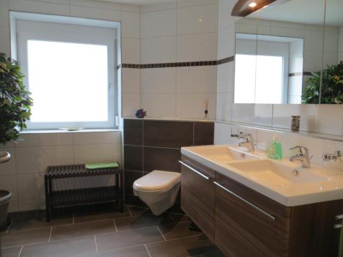een badkamer met een wastafel, een toilet en een spiegel bij Ferienwohnungen Familie Schwarze in Grenzach-Wyhlen