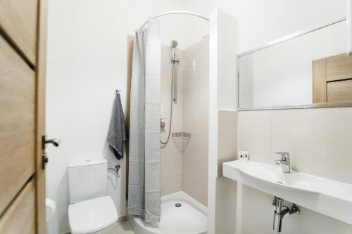 ein Bad mit einem WC, einem Waschbecken und einer Dusche in der Unterkunft Królewiecka 115 in Elblag