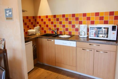 a kitchen with a sink and a microwave at Domaine du Port Sainte Marie in Maizières-lès-Vic