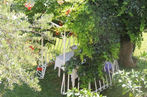 a garden with a table under a tree with roses at Apartments Travarevic in Dubrovnik