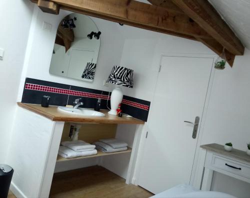 a bathroom with a sink and a mirror at Chambres d'hôtes Toulaho in Cazères