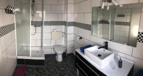 La salle de bains est pourvue d'un lavabo, d'une douche et de toilettes. dans l'établissement Pension Lume, à Oberraden