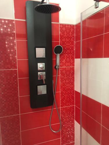 a red bathroom with a shower with a shower head at La Casa Di Nena in Vivo dʼOrcia