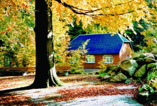 a red house with a blue roof in the woods at Kurpark Flair Hotel Im Ilsetal in Ilsenburg