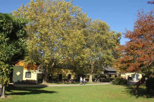 a group of people walking in a park with a tree at Apartments Luisenhof in Krefeld