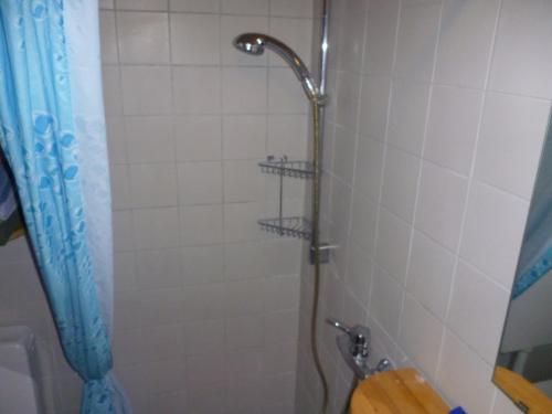 ein Bad mit einer Dusche und einem WC in der Unterkunft Zimmer Frei in Wiesbaden