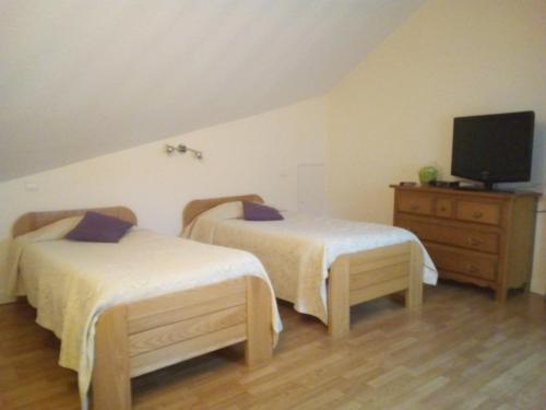 um quarto com 2 camas, uma televisão e uma cómoda em hotel restaurant des voyageurs em Le Falgoux