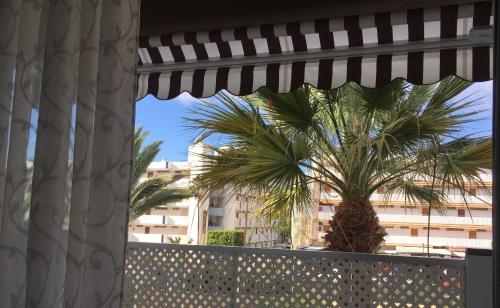 Apartment near Yumbo and Cita