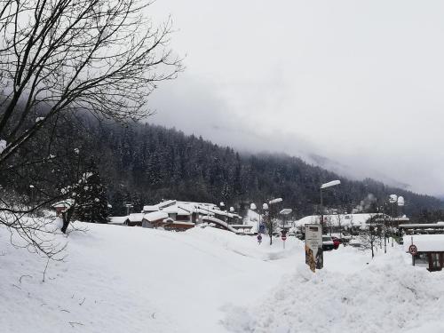 a snow covered town with houses and a mountain at Casa Mirandola Montana in Commezzadura
