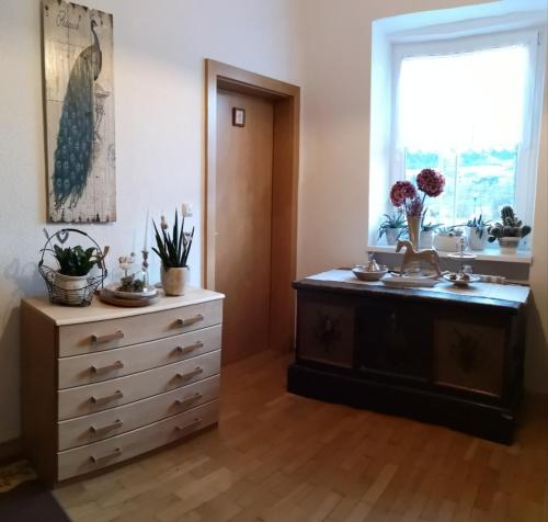 um quarto com uma cómoda e uma janela em Gasthof Widenschek em Thalheim