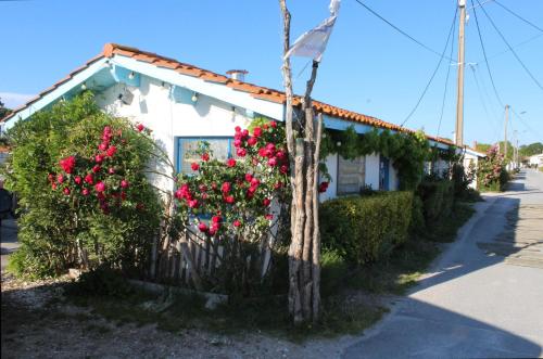 Gallery image of Maison 4 chambres près du port ostréicole in Andernos-les-Bains