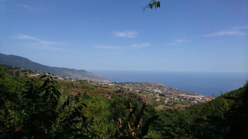 Φυσικό τοπίο κοντά σε αυτό το διαμέρισμα