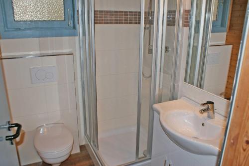 ein Bad mit einer Dusche, einem Waschbecken und einem WC in der Unterkunft Blockhaus - ideal bis 4 Personen in Damp