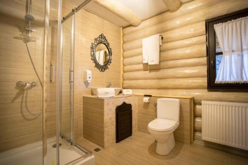 a bathroom with a toilet and a shower at Conacul Maria Theresa in Orlat