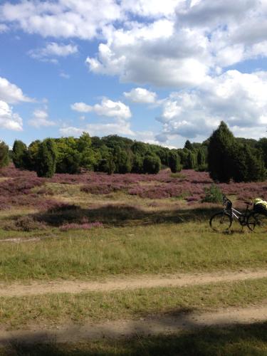 a bike parked in a field next to a dirt road at Neumanns Waldschänke in Soltau