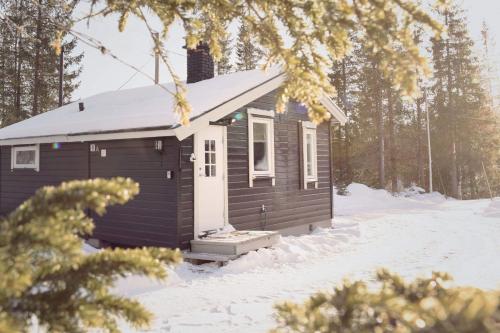 una pequeña cabaña en la nieve en el bosque en Koselig Hytte i Hemsedal en Hemsedal