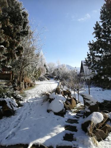 a snow covered path with trees and a house at Chalupa u Manišov in Laskár