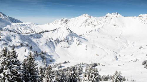 a snowy mountain range with trees and snow covered mountains at Bel appartement au centre de Champéry avec vue in Champéry